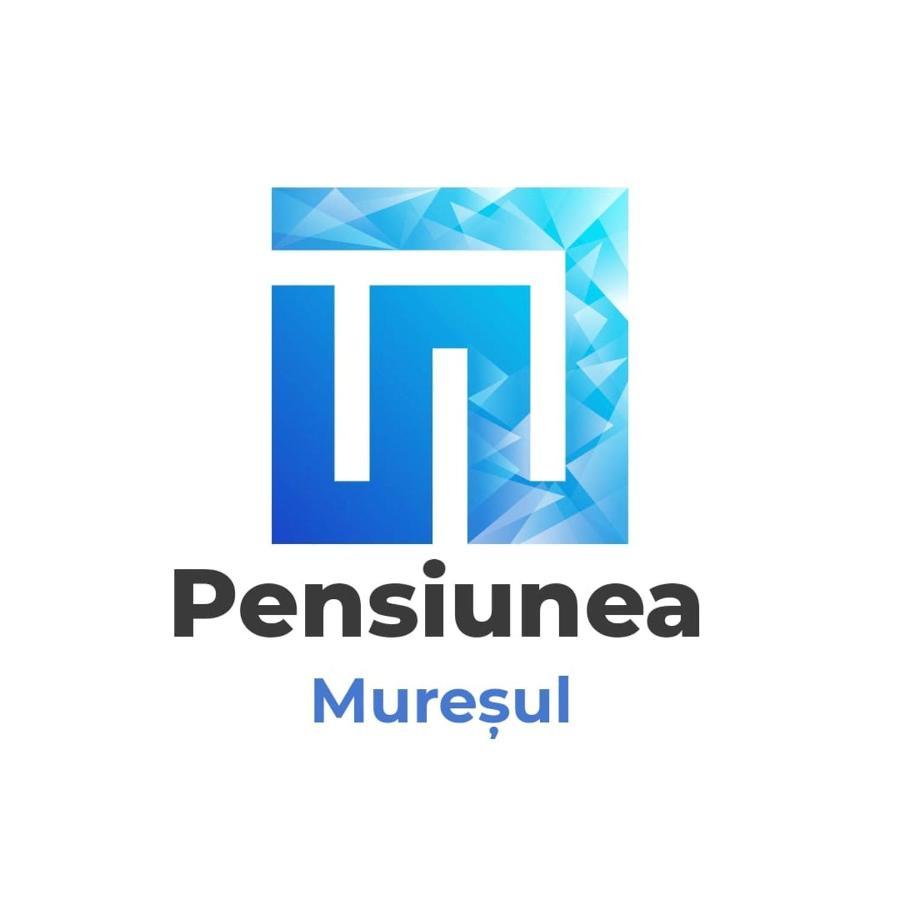 Pensiunea Muresul Târgu-Mureş エクステリア 写真